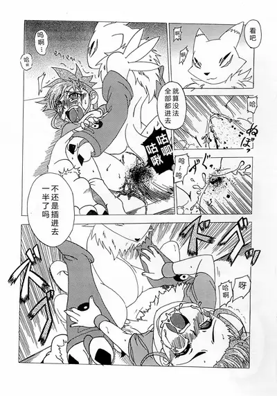 [Matsubara Shougakkou (Matsubara Chigusa)] La renarde lunaire (Digimon Tamers) [Chinese] [逃亡者x新桥月白日语社汉化]