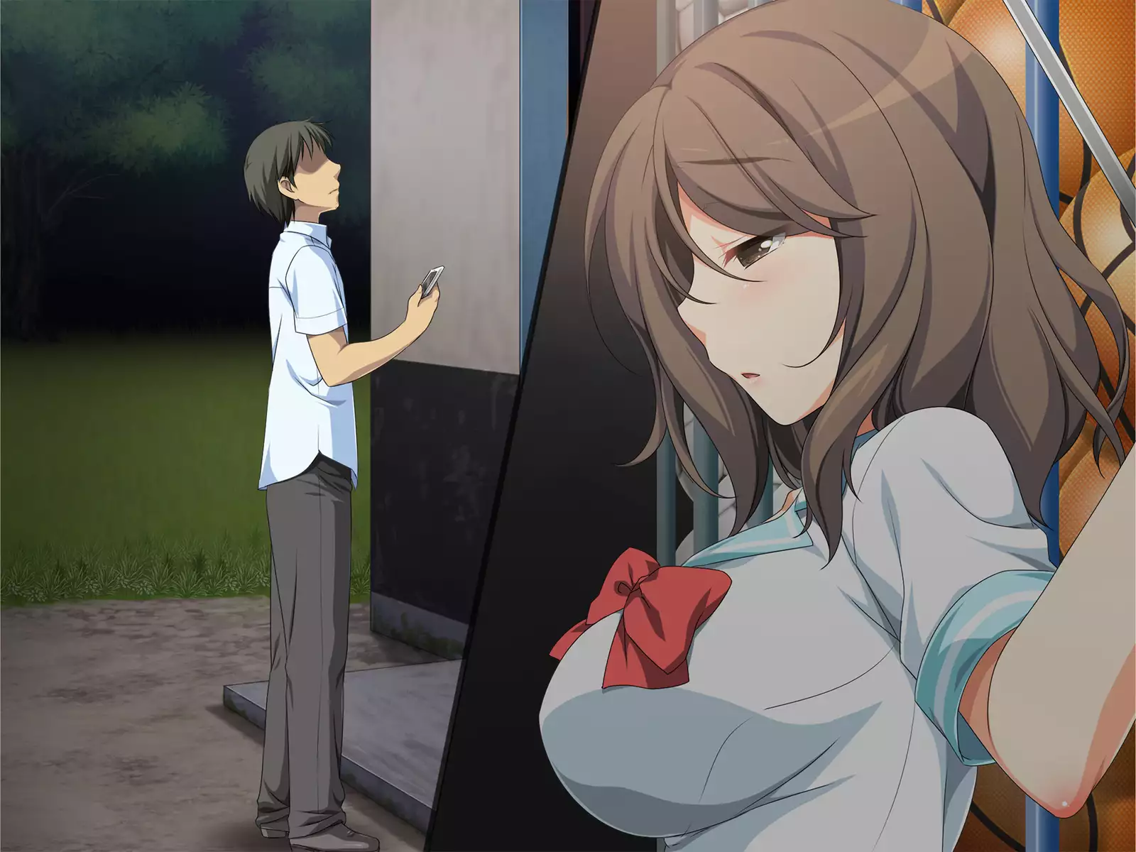 Flesh Holes That Can't Resist ~Schoolgirls Bound At Night~