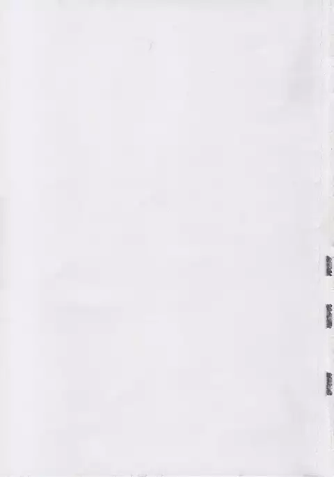 Inaba na Ohime 이나바 공주님