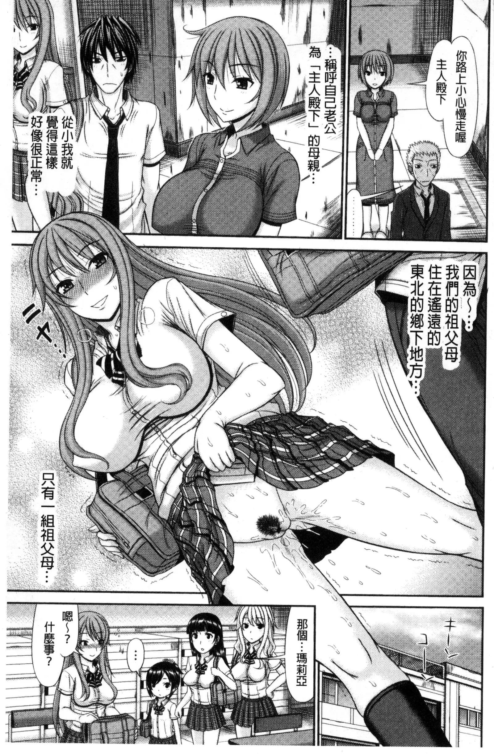Shimai Seikou Inshuu