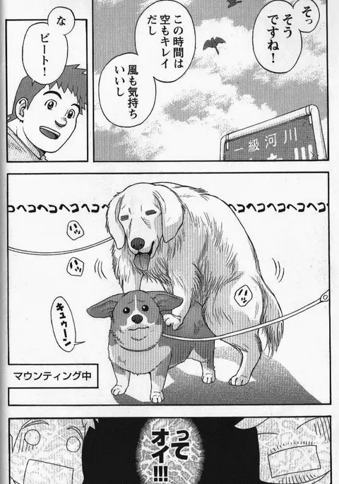 Osamu Kodama – Sweet ☆ Kennel