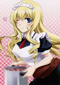 (C82)[CHAGASHI SAIBAN (Yamabuki Mook)] Lesson! (Infinite Stratos) [English] [life4Kaoru]