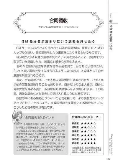 Zero kara Hajimeru SM Manual Kawaii Dorei Shiikujutsu