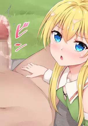 Mori no Yousei Shikorii