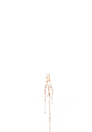 Yuuka-Chirabatta Daiyoukai no Kakera-