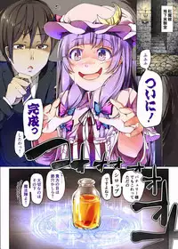 (Reitaisai 11) [Shirokurousa (Sugiyuu)] Honey x Honey (Touhou Project)