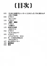 [Power Play] Rainbow Mika no Ero Hon (Street Fighter)