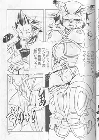 (C66) [Gadoujuku (Kawacchi Hirohiro)] Neko Neko Punch (Final Fantasy XI)