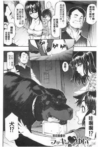 [ShindoL] Junai Irregulars | 純愛不完美情-人 [Chinese]