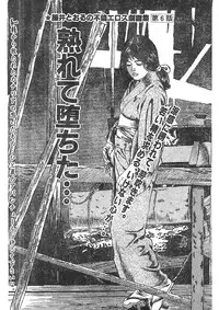 [Fujii tooru] Furin erosu gekigashuu