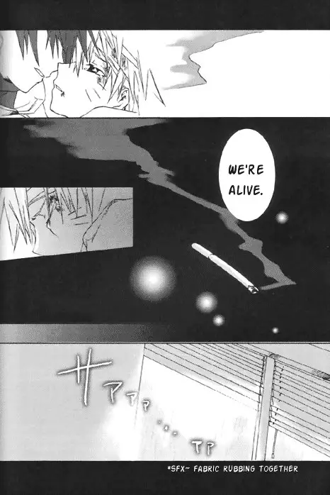 Gold Feather Silver Body