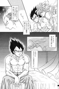 [GREFREE (ema)] Blaze (DRAGON BALL Z)