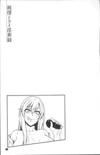 [Yukiguni Omaru] Junjou Try Inpouroku [Chinese]