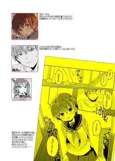 Totsugeki! Rinka no Josou Shounen 2