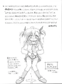 (C74) [Kuchiki no Uro (Enma Koorogi)] MiDaReGoTo (Mahou Shoujo Lyrical Nanoha)