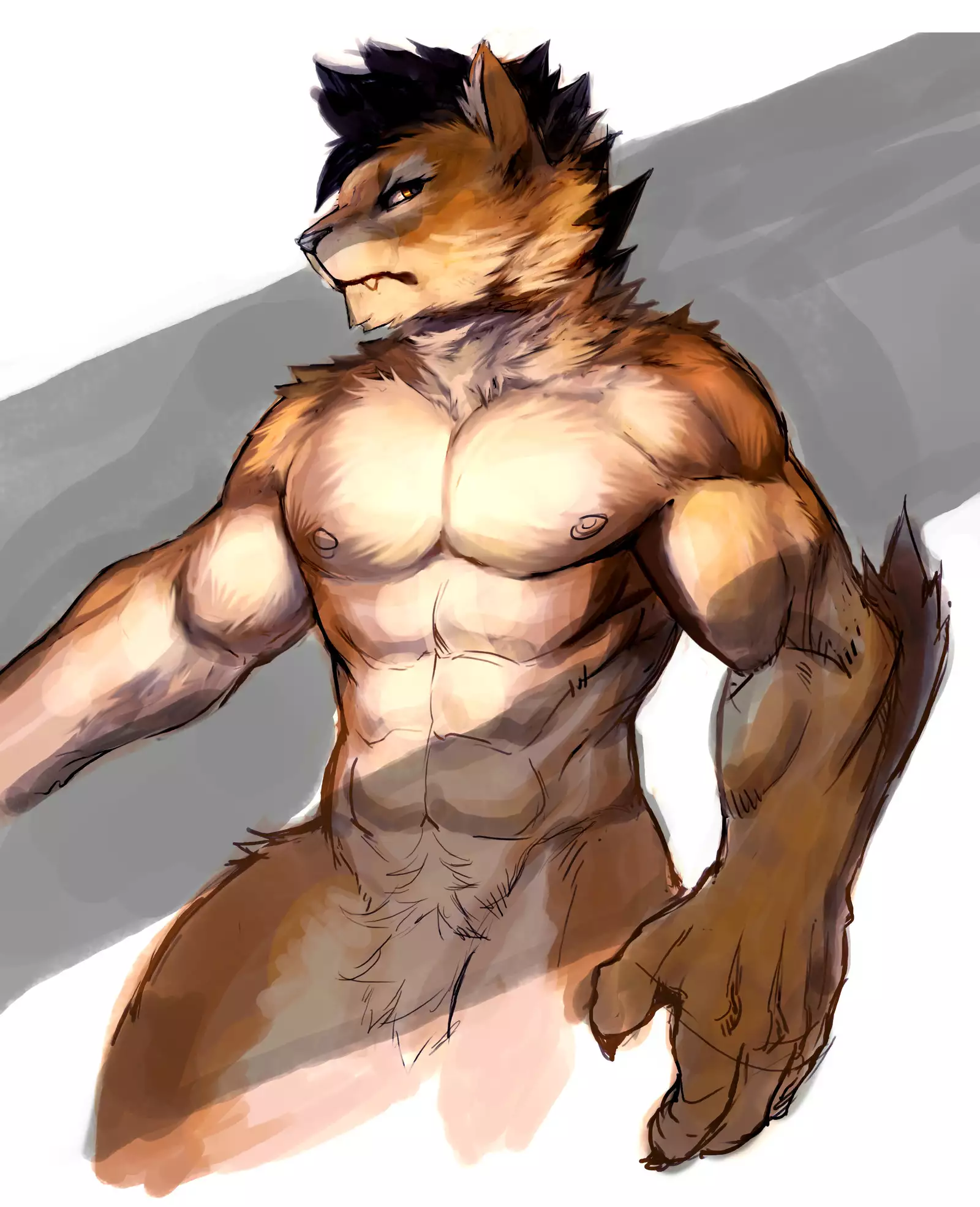 Nekojishi February 2018 Package Reward + Extras