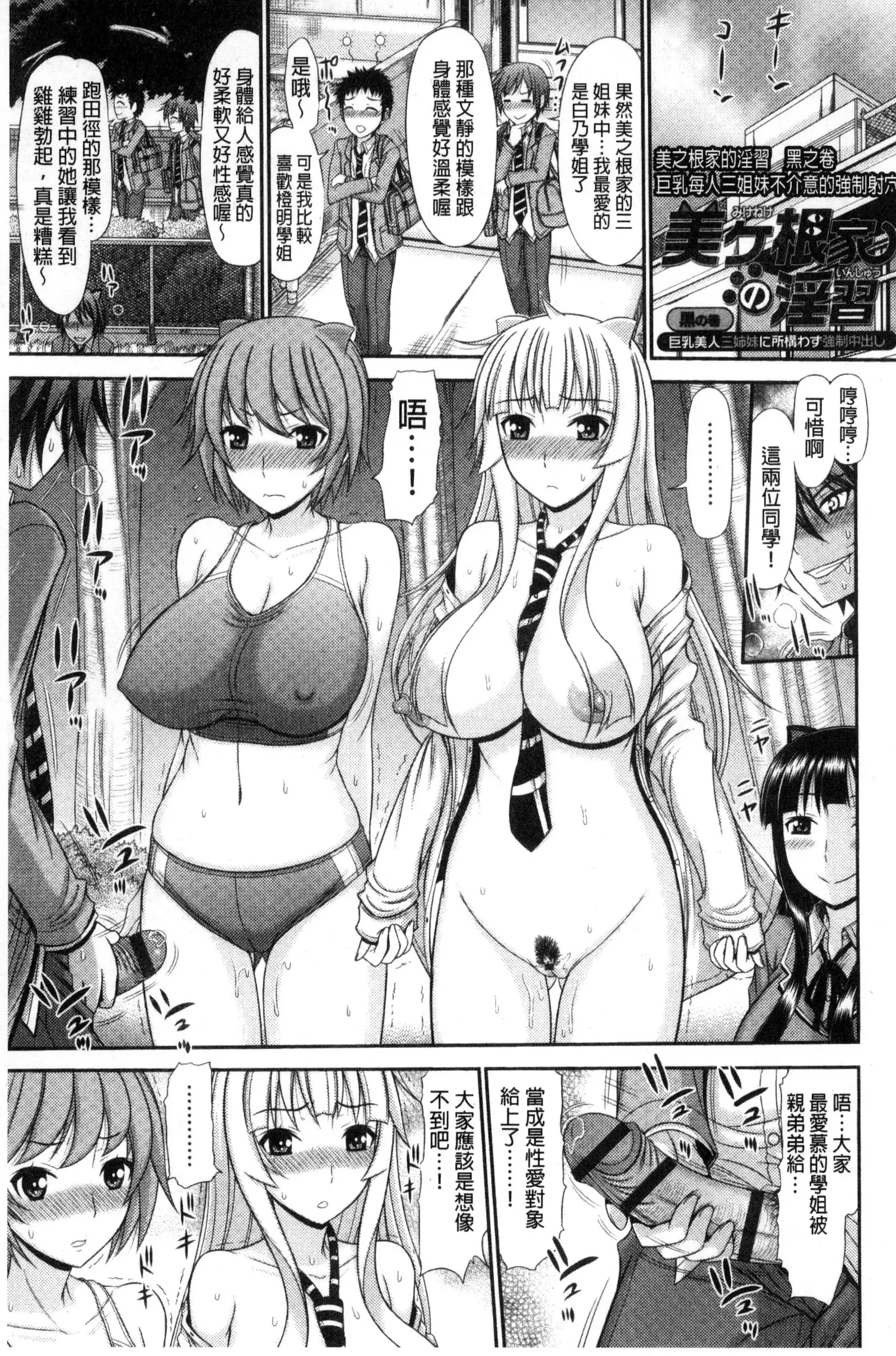 Shimai Seikou Inshuu