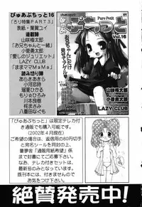 [Anthology] Pure Petit Vol.17