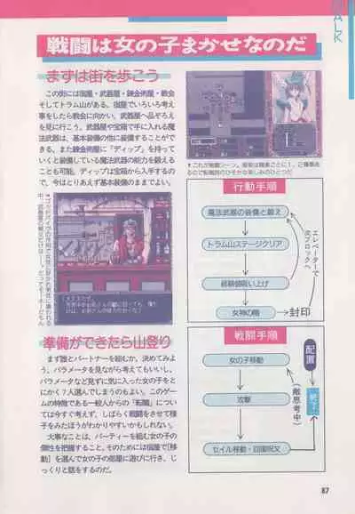 Official Alicesoft Full Completion Guide (PC-CUPID)