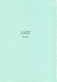 (C75) [Circle Taihei-Tengoku (Horikawa Gorou)] Niku no Rakuin Chuukan