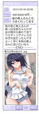 [Fujishima Sei1go] Nettori Neorare ~Gacchiri★Kairaku Land Zoukan~ [Digital]