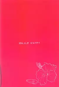 (C91) [Build-Tetsu (Ninomiya Hitomi)] Hanahiraku Bussouge (Kantai Collection -KanColle-)