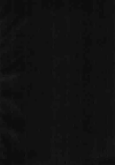 Boku no naka no Kesenai Maboroshi