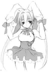 (SC17) [Mizukidou (Mizuki Takehito)] Usada Mania na (Di Gi Charat)