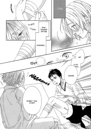 The Daydreamer Falls in Love