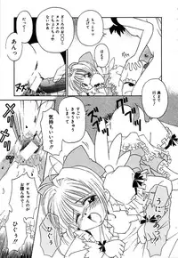 [Donkey] Chocotto Ne