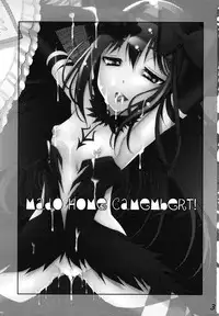 [Matsuge Antenna (Maihara Matsuge)] MadoHomu Camembert (Puella Magi Madoka Magica) [English] [Digital]