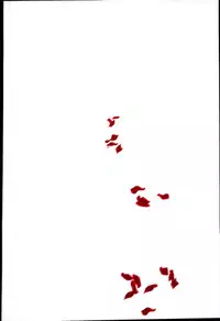 (C91) [Clochette (Sakura Yuki)] Kekkonshiki Nijikai Shoya Sonogo Soushuuhen (Love Live!)