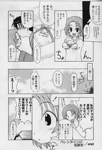 [Miyashita Kei] HAPPINESS DAYS