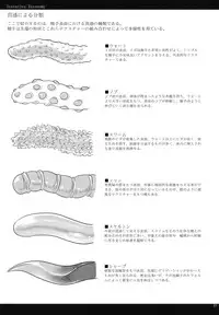 (COMITIA95) [SHIS (Z-ton)] LIMB LEGION