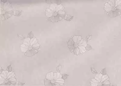 史上名妓 画魂传奇-潘玉良（上）（孙福林 2014年12月）