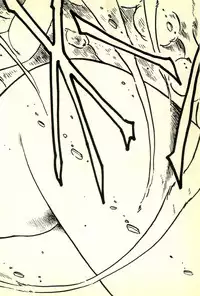 [Uchiyama Aki] Burusera Hakusho