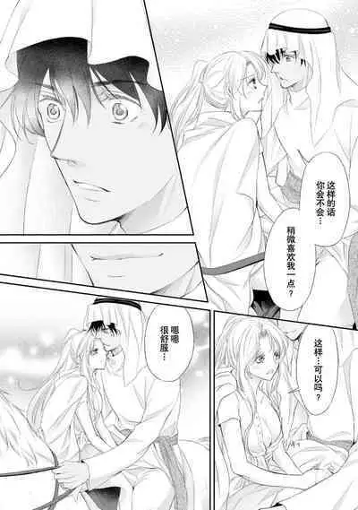 sabaku no ōji to kaizoku hime | 沙漠王子与海盗公主