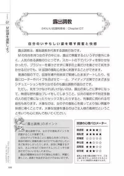 Zero kara Hajimeru SM Manual Kawaii Dorei Shiikujutsu