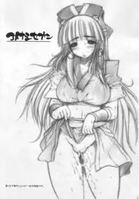 (SC33) [ERECT TOUCH (Erect Sawaru)] VALKYRIE SLAVE (Valkyrie Profile)