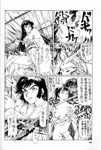 (C44) [Ganso Sonoda Ya (Various)] Chousen Ame Ver.04