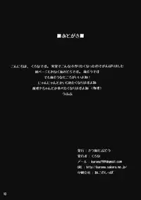 (C84) [Kitsune to Budou (Kurona)] Hana Ijime (Touhou Project)