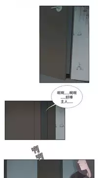 私生，爱到疯狂 完结