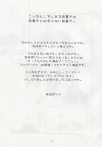 (C69) [Lyco-Z (Raikouji Aya)] Buntsuu! (Touhou Project)