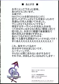(C91) [Kansai Gyogyou Kyoudou Kumiai (Marushin)] Fall/Master Alternative (Fate/Grand Order)