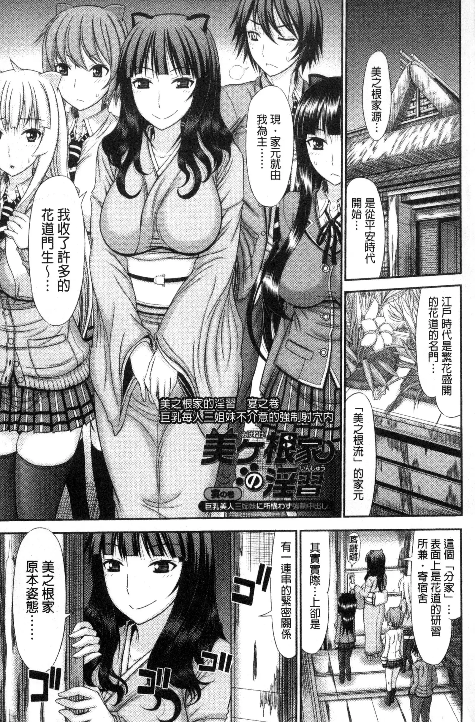 Shimai Seikou Inshuu