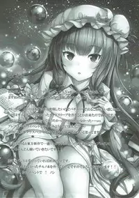 (C92) [YuKi-IRo (Yukiusagi.)] Misshitsu Kanbyou (Touhou Project) [English] [TranslatorWithoutAName]