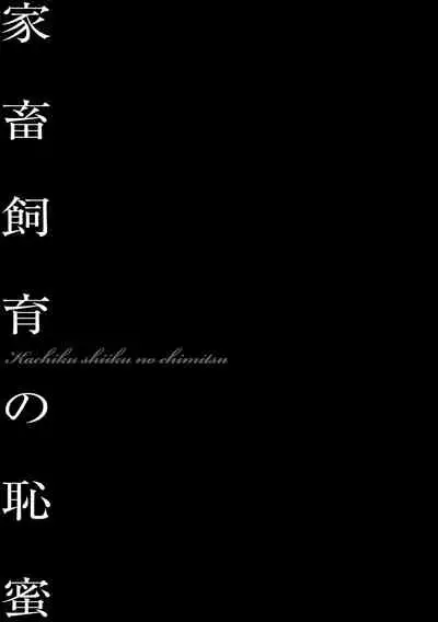 家畜飼育の恥蜜[Onikubo Hirohisa] Bichiku Inpu Mariko - Beautiful Lewd Slave Mariko ch.2[Digital][Chinese]【不可视汉化】