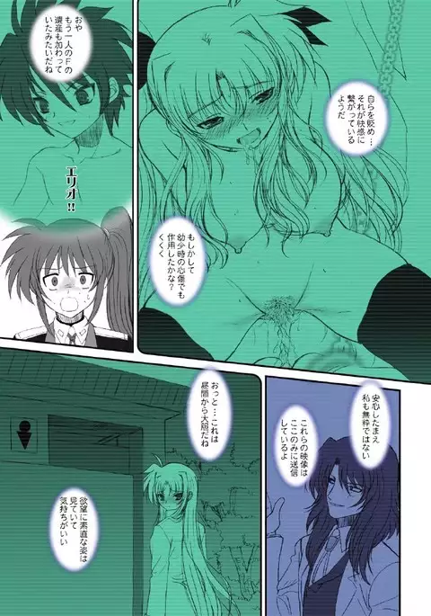 FATE FIRE WITH FIRE Book. II