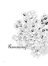 [Sonny Moony (Senka)] Romancing (Fate/stay night) [Digital]