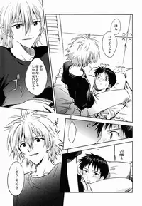 (C80) [Cassino (Magarikoji Lily)] LOCK'N' UP! (Neon Genesis Evangelion)